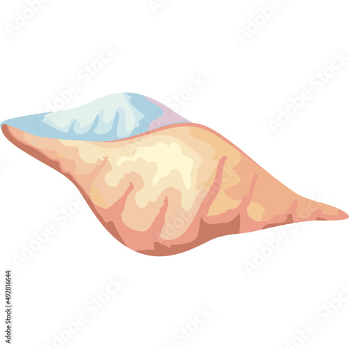sea shell cream