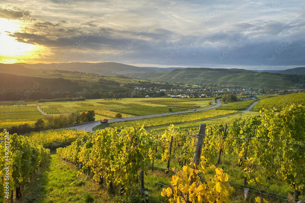 Scenic view of Mülheim and der Mosel, Germany