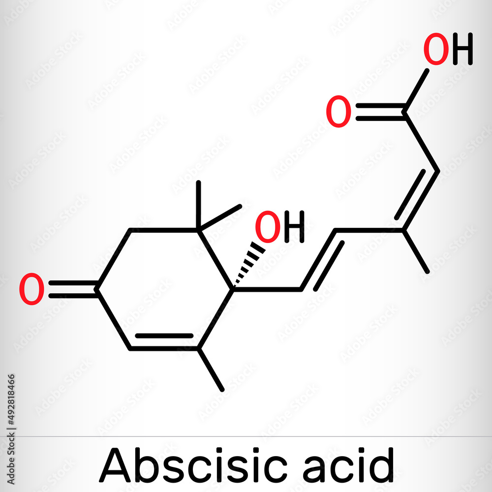 Abscisic acid, ABA molecule. It is dormin, plant hormone. Skeletal chemical formula Abscisic acid, ABA molecule. It is dormin, plant hormone. Skeletal chemical formula