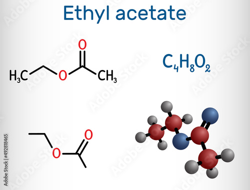 Ethyl acetate, ethyl ethanoate, C4H8O2 molecule. It is acetate ester formed between acetic acid and ethanol. Structural chemical formula and molecule model