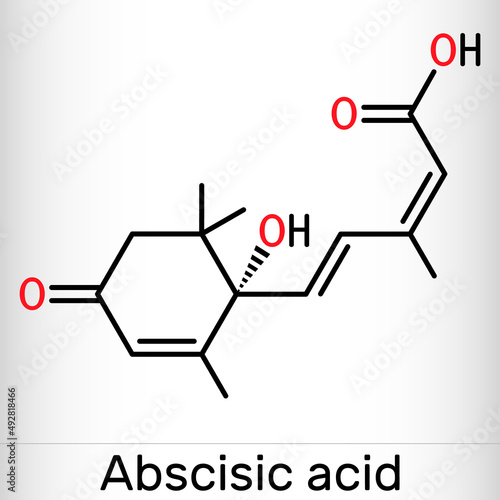 Abscisic acid, ABA  molecule. It is dormin, plant hormone. Skeletal chemical formula