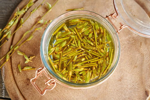 Preparation of a herbal gemmotherapeutic tincture from willow buds and bark, top view photo