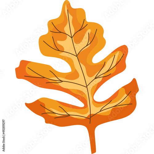 Papier peint autumn leaf classic