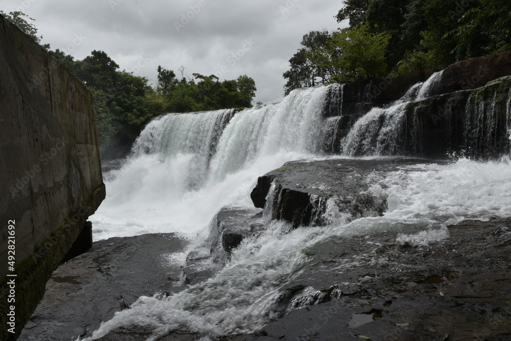 Fototapeta premium Une cascade d'eau en forêt guinéenne 