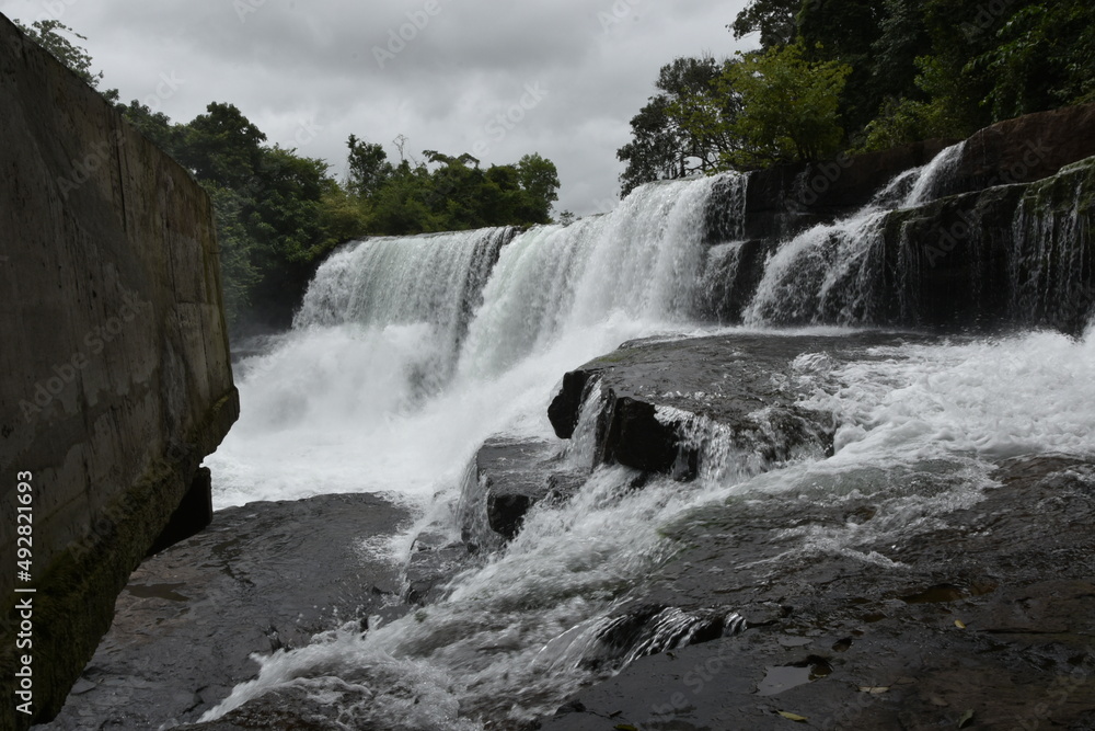 Fototapeta premium iCI l'eau coule sans interruption toute l'année en cette partie de la Guinée .