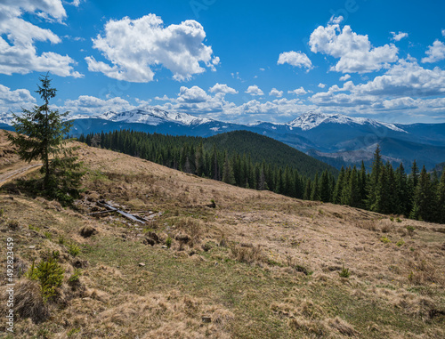 Hiking path on spring Carpathian mountain plateau  Ukraine.