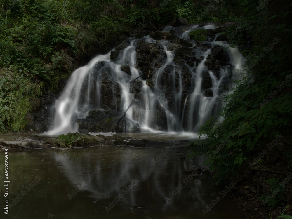 waterfall in the forest