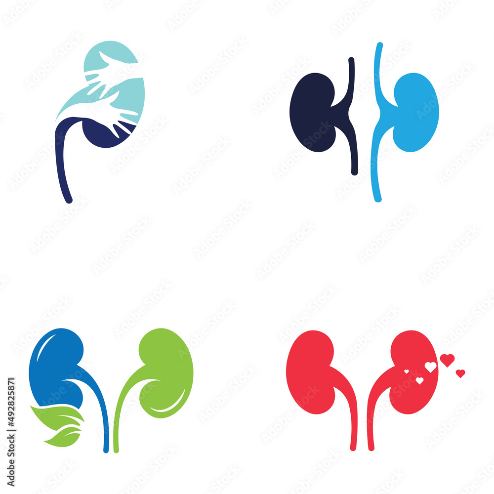 Kidney health and kidney care logo using icon design concept vector illustration Kidney health and kidney care logo using icon design concept vector illustration