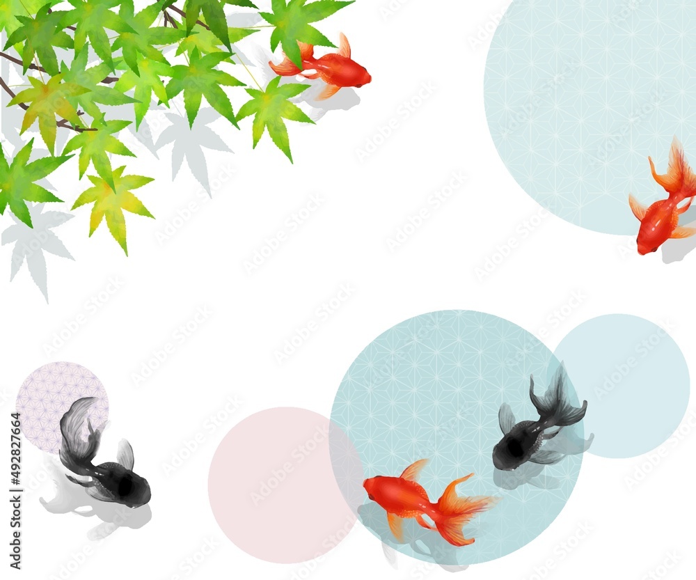 楓の葉と黒と赤の金魚が泳ぐかわいいデザインの白バックベクター夏フレーム素材 Stock Vector Adobe Stock 楓の葉と黒と赤の金魚が泳ぐかわいいデザインの白バックベクター夏フレーム素材 Stock Vector Adobe Stock