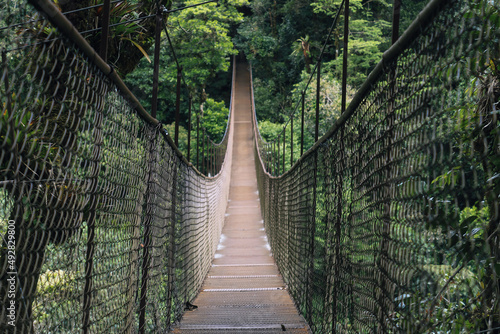 Puente colgante, boquete treek, Chiriquí. Panamá.