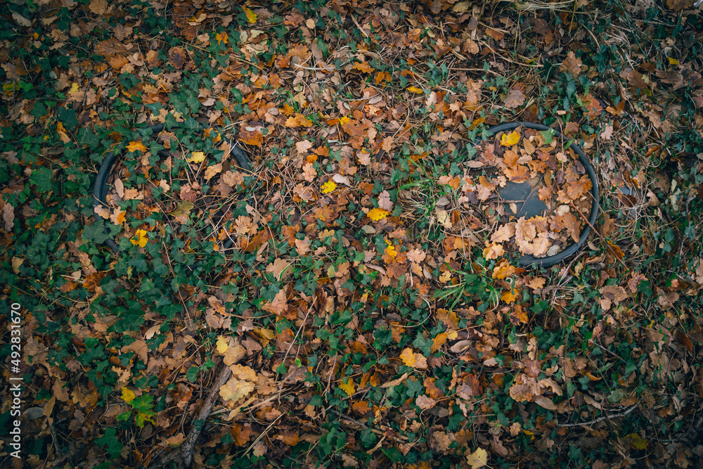 Ground full of autumn leaves