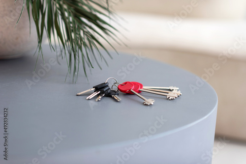 a bunch of house keys lies on a gray table. Home purchase concept © Ольга Апанасенко
