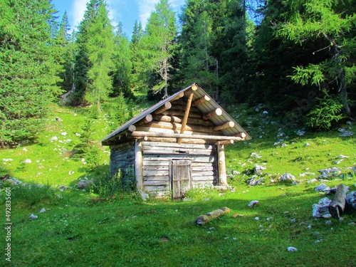 Small wooden hut on a mountain meadow above Pokljuka in Triglav national park  Slovenia  with a larch forest in the back and sun shining on the houses front end