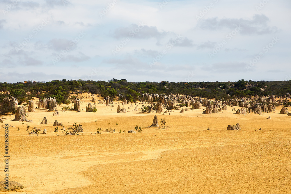 Obraz premium Landschaft, Panorama, Weite, Natur, Umwelt, Wüste