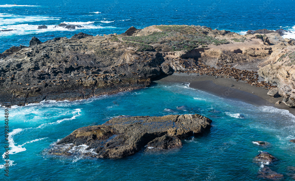 Seal Beach at Point Lobos State Park California