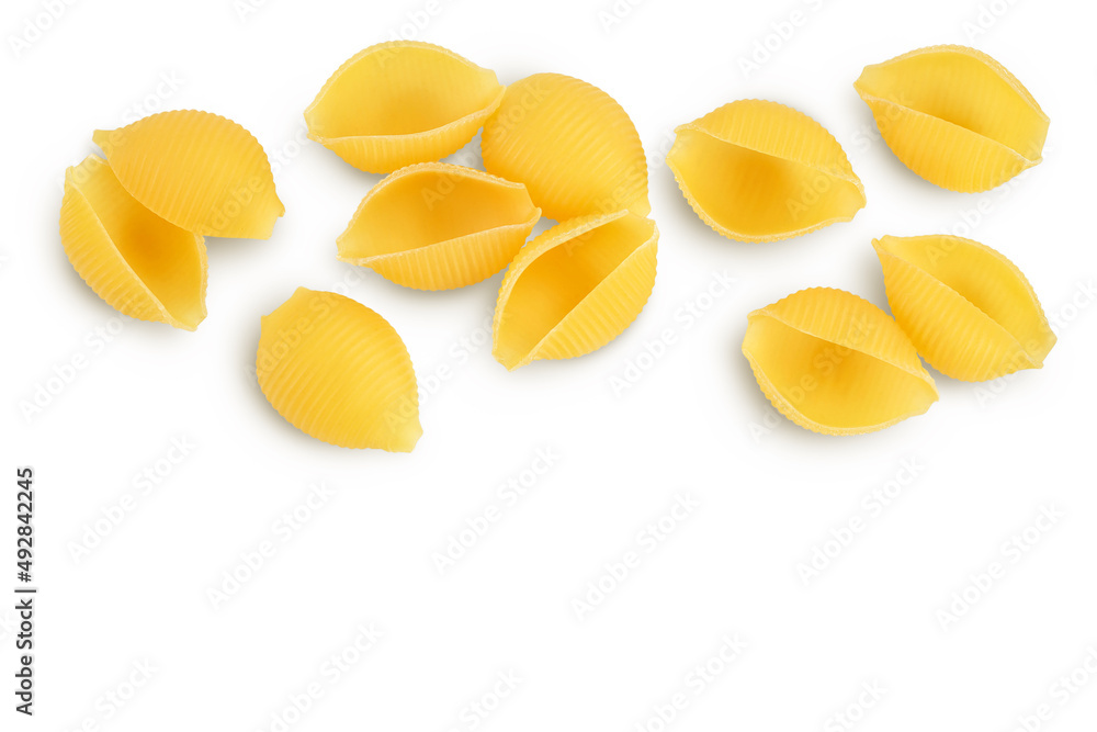 Raw conchiglie shell pasta isolated on white bachground with clipping path and full depth of field. Top view with copy space for your text. Flat lay