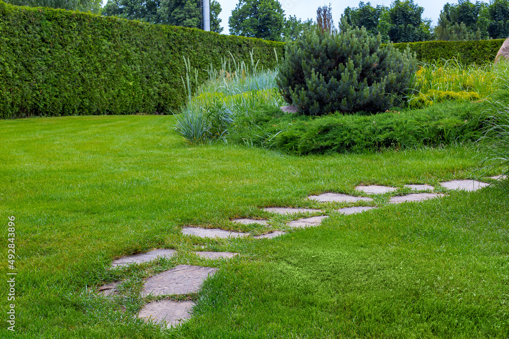 rough trail different shapes natural stone path paved in the green backyard turf lawn, crescent backyard walkway landscape with bushes and evergreen hedge wall, nobody.