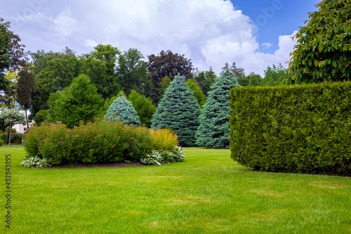 Fototapeta Naklejka Na Ścianę i Meble -  landscaped park with a garden bed and different trees and bushes on a turf lawn, evergreen and seasonal plants in the backyard on overcast weather.