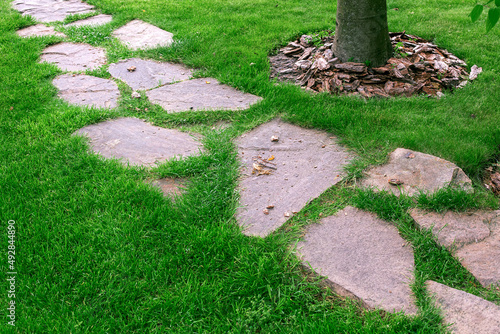 Garden path made of natural rough stone different size overgrown with turf lawn and tree trunk with bark mulching on a spring green grass in the backyard, trail made slice of stone closeup, nobody.