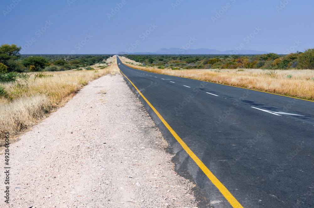 Landscape with straight road / Landscape with straight road left and right trees to the horizon, Namibia, Africa.