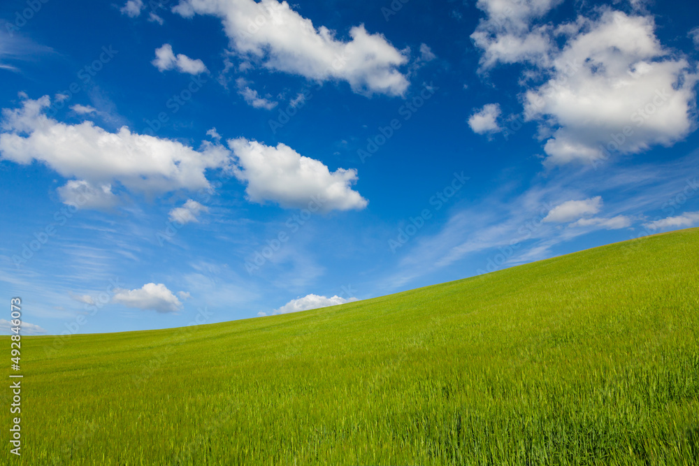 Green Field With Hill and Blue Sky and Clouds