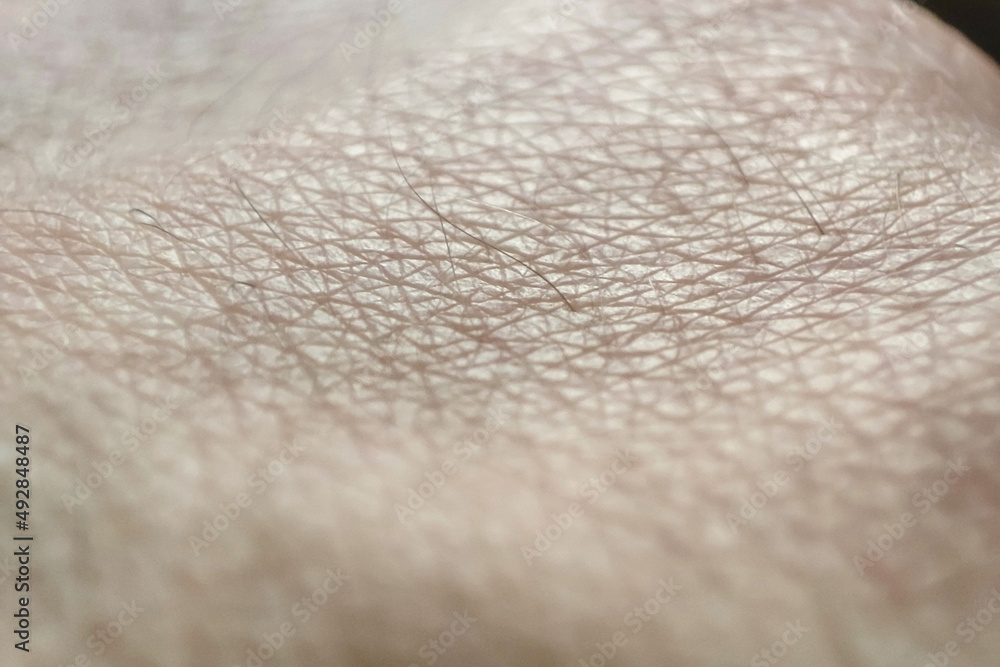 Closeup human skin texture. Macro hand skin pattern. Medicine and dermatology concept. Details of caucasian healthy skin with no dermatology problem concept Closeup human skin texture. Macro hand skin pattern. Medicine and dermatology concept. Details of caucasian healthy skin with no dermatology problem concept