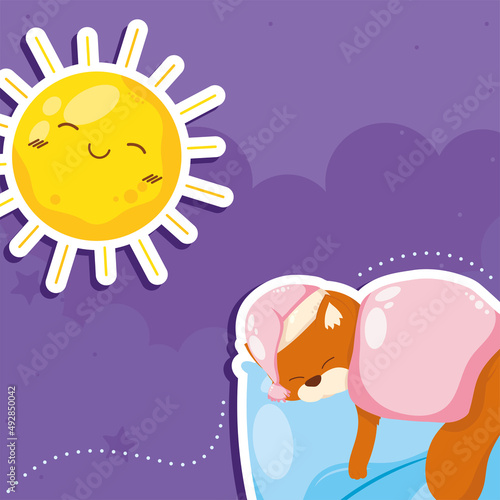 sun and bear sleeping