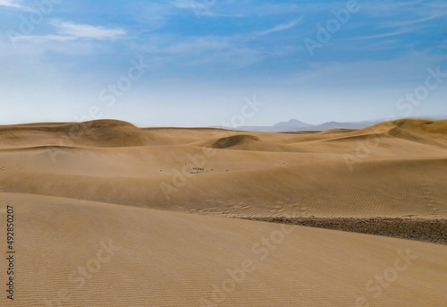 Los extensos arenales costeros  como desiertos   dunas de la playa de Maspalomas en la isla de Las Palmas de Gran Canaria  Espa  a. Paisaje des  rtico y costero dise  ado por el efecto del viento sobre l