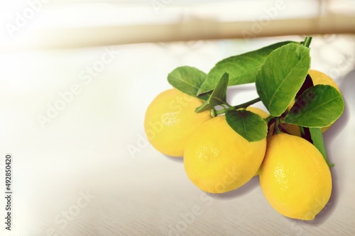 Japanese yuzu fruits or lemon placed on a wood table