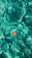 Handdoek met foto Koraalgroen Herfstblad drijvend op zeewater  © Andrei