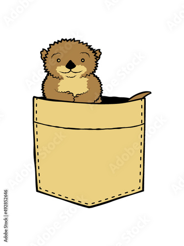 Otter in Hemdtasche 
