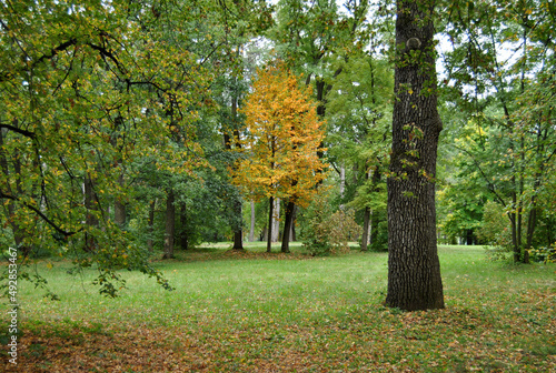 park nature lereva early autumn