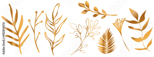 Vector plants and grasses in gold style with shiny effects. Minimalist style. Hand drawn plants. With leaves and organic shapes. For your own design.