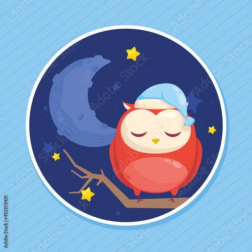 owl sleeping wearing hat