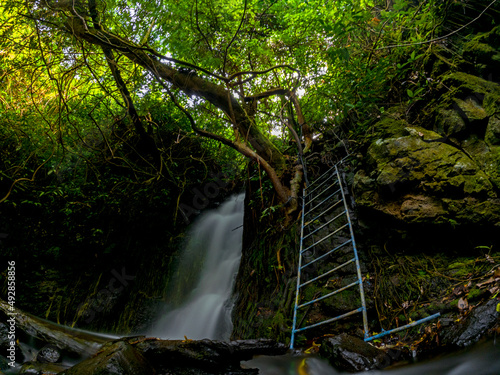 Wallpaper Mural Long exposure view of Jamblon waterfall (Cascade Jamblon) hidden in a forest located in the north-east of Mauritius island Torontodigital.ca