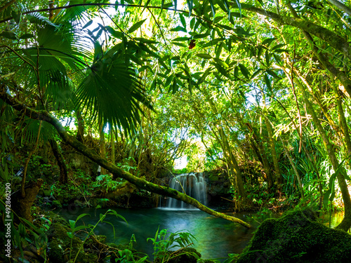 Long exposure view of a waterfall hidden in a dark forest located in Mauritius 