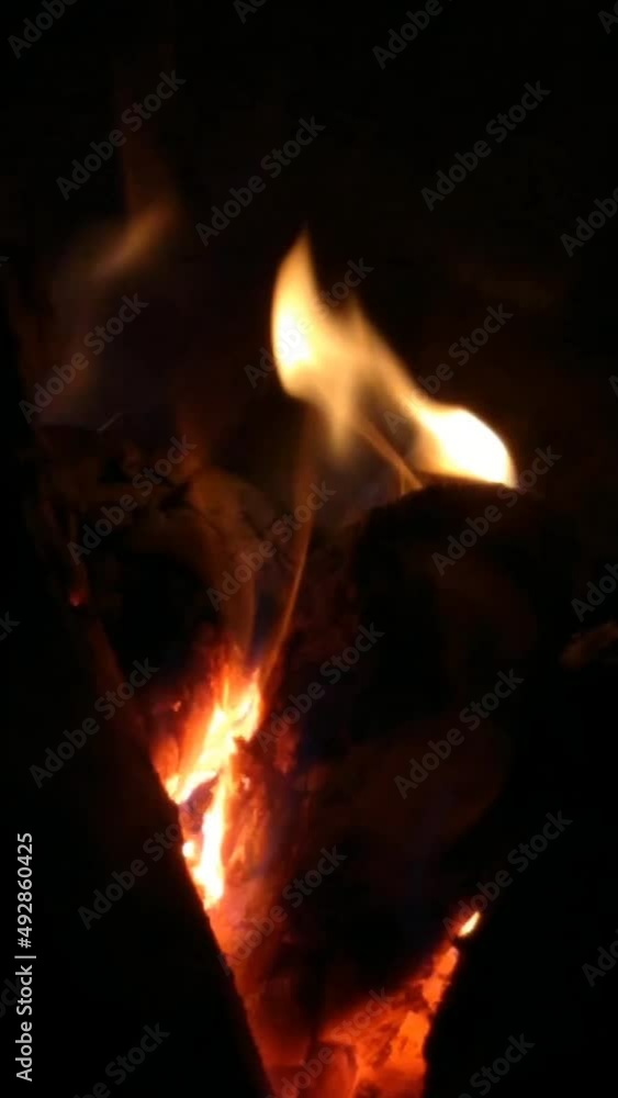 Vertical video of firewood on fire in the fireplace Vertical video of firewood on fire in the fireplace