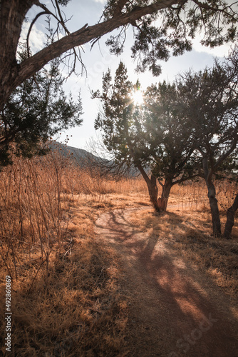 One Beautiful Night at Palo Duro Canyon, Texas