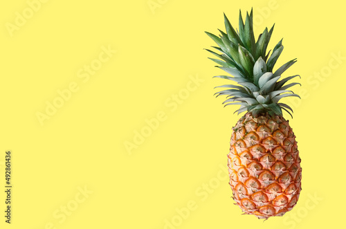 Top veiw, Single pineapple ripe isolated on yellow background for stock photo or design advertising product, wallpaper,thai fruit summer
