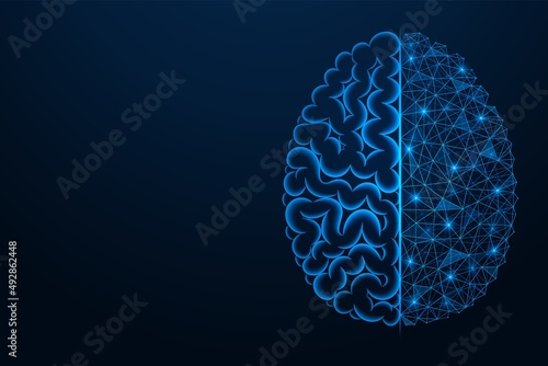 Combining the human brain with the cybernetic mind. Connecting convolutions with a polygonal network. Blue background.