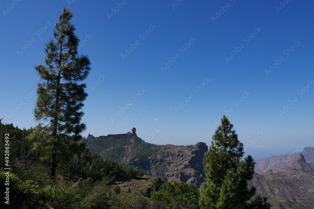 Kiefern und Roque Nublo auf Gran Canaria