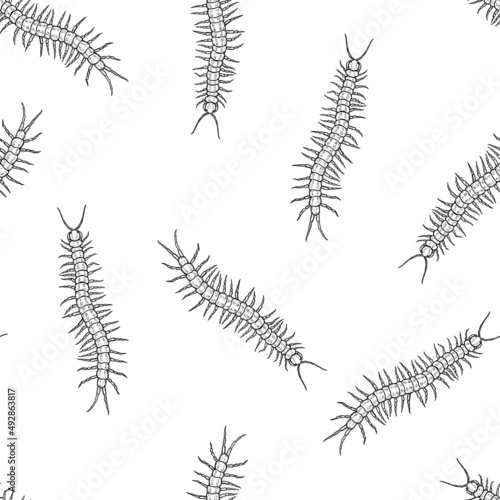 Seamless pattern of monochrome centipede illustration. Vector illustration template
