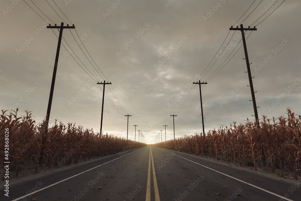 3d rendering of a road with yellow line in the centre. Between withered corn field and utility poles