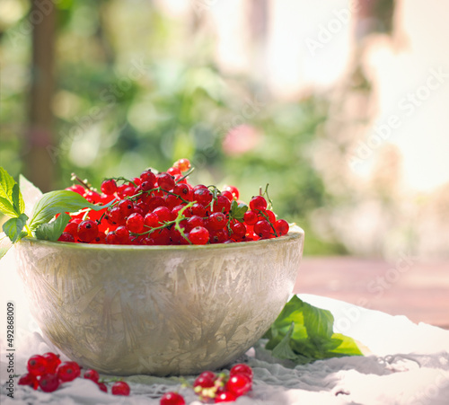 Fresh rganic currant, red currants in bowl on table outdoor