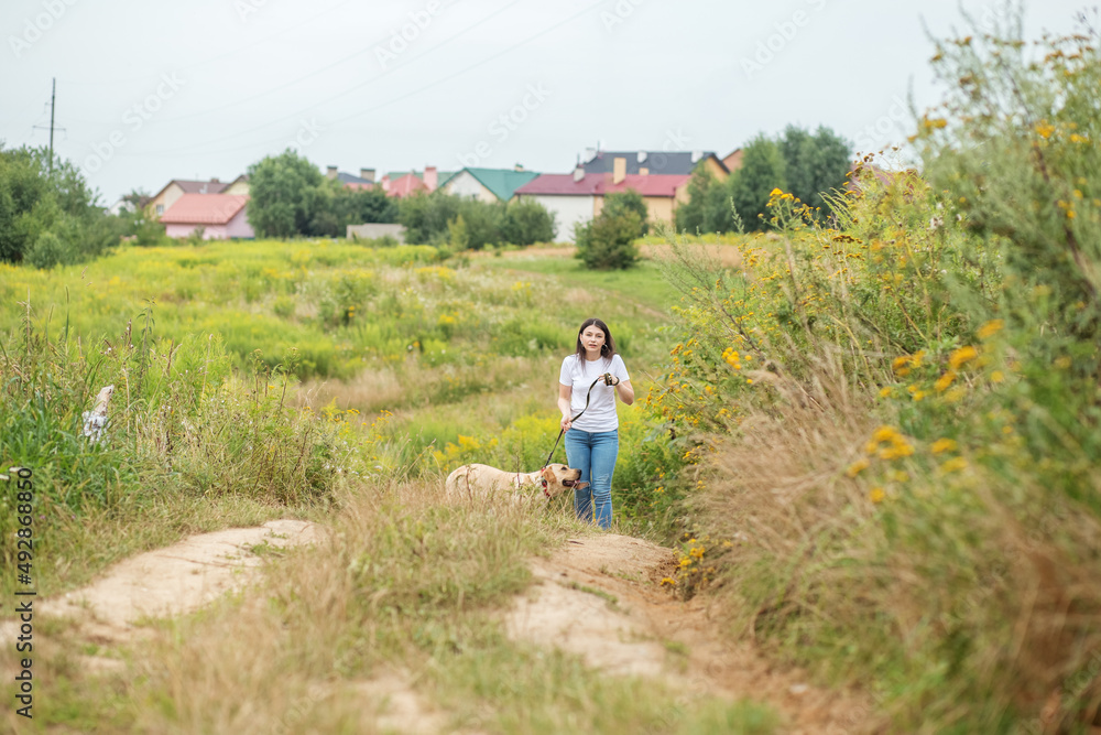 Young playful dog is active on the green grass. Playing pets, pet concept.