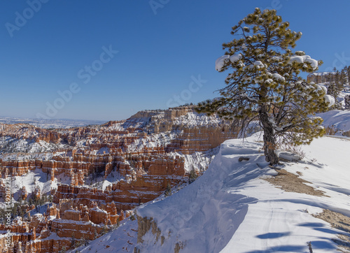 Snow Coverd Landscape in Bryce Canyon National Park Utah in Winter