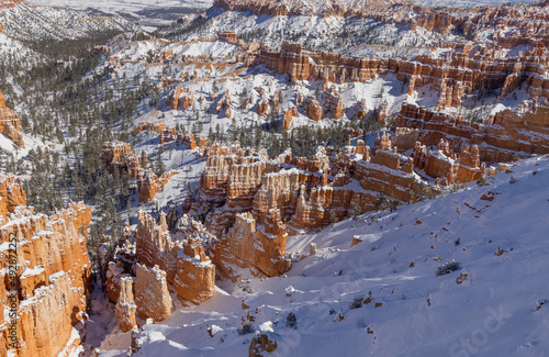 Snow Coverd Landscape in Bryce Canyon National Park Utah in Winter