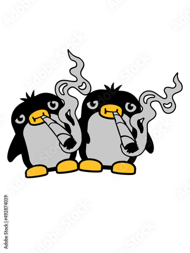 2 Kiffer Pinguine 