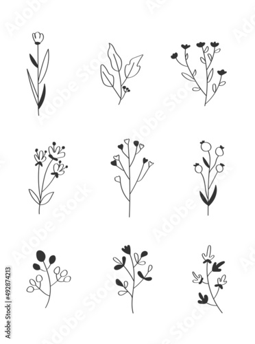 set of flower elements   Collection of black and white floral elements in flat color   Set of spring and summer wildflowers  plants  branches  leaves and herbs   Hand drawn flower vectors for decor