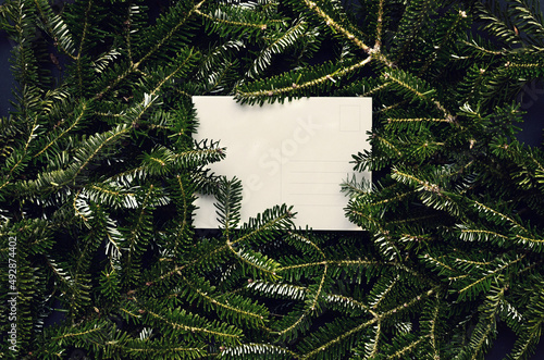Top view of green spruce branches with empty white greeting postcard. vergreen ashy pine tree sticks background. Creative minimalistic composition
